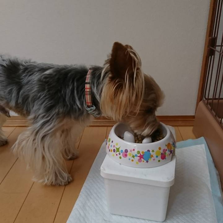 3ca2de09 507b 4327 9d14 6ba4e99a996d 1528928780133