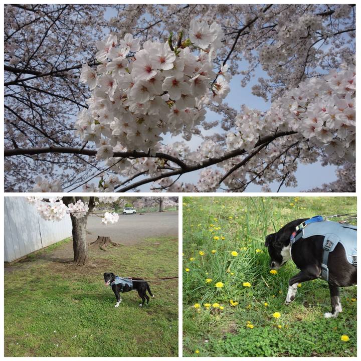 3ca2f38a 1fc9 4a87 8c8c b03ac24c6a34 1712539847185