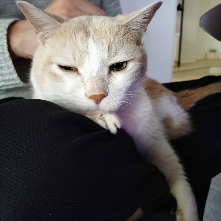 3ca32c4e eb6c 4fa3 9af0 8d763418d536 1705794045371