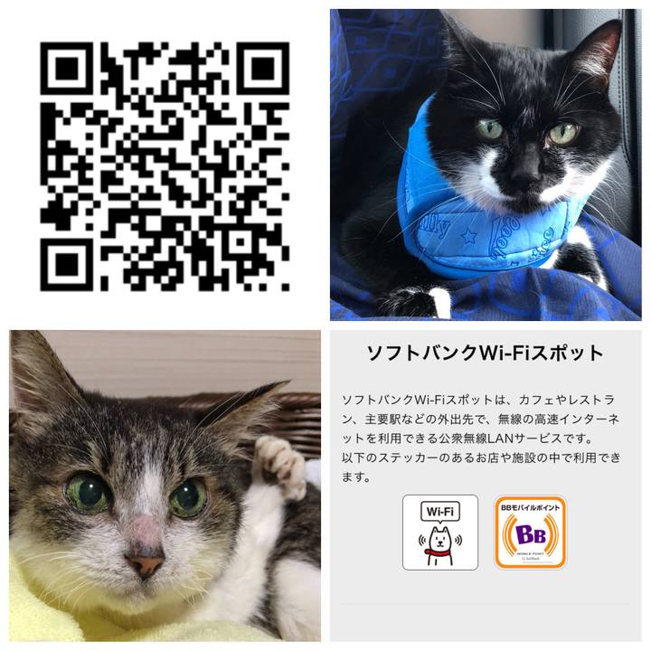 3ca32ce2 1c6d 4c99 8d91 832ef689d869 1536292870798