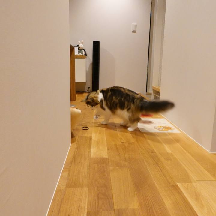 3ca358a4 3a91 4c6d b43f 14a591ffcbb4 1596377544057