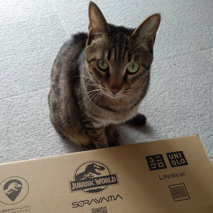 3ca36043 303a 4e9c 8ae0 4552b43c4539 1617508248394