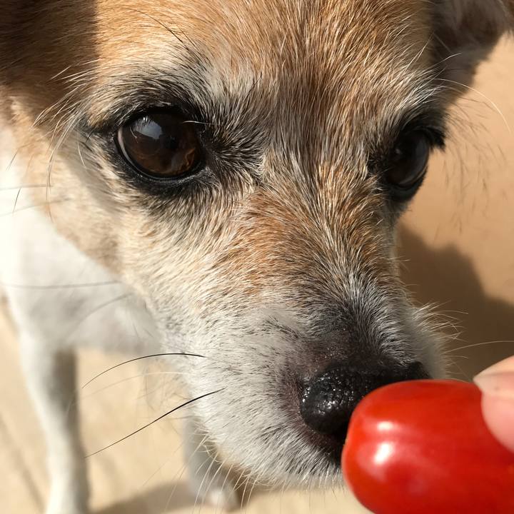 3ca390aa 0a21 4856 a1f6 649cb0a1499c 1610767802757