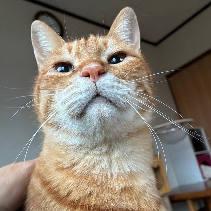 3ca3ac5e 00d4 4105 914c f20793ebff6b 1745611940645