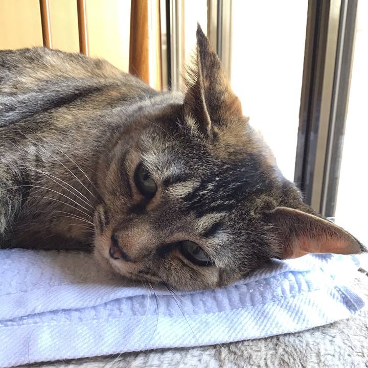 3ca3c337 9c0f 497e a52f 077960626ab2 1682158581550