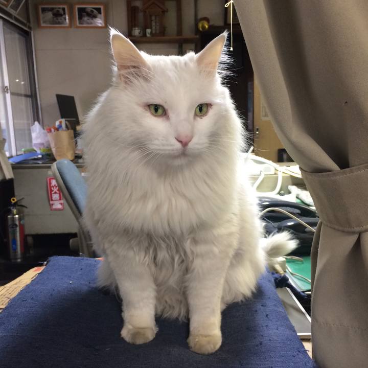 3ca3db96 6af5 4171 87bd 56cba3784e75 1518474233149