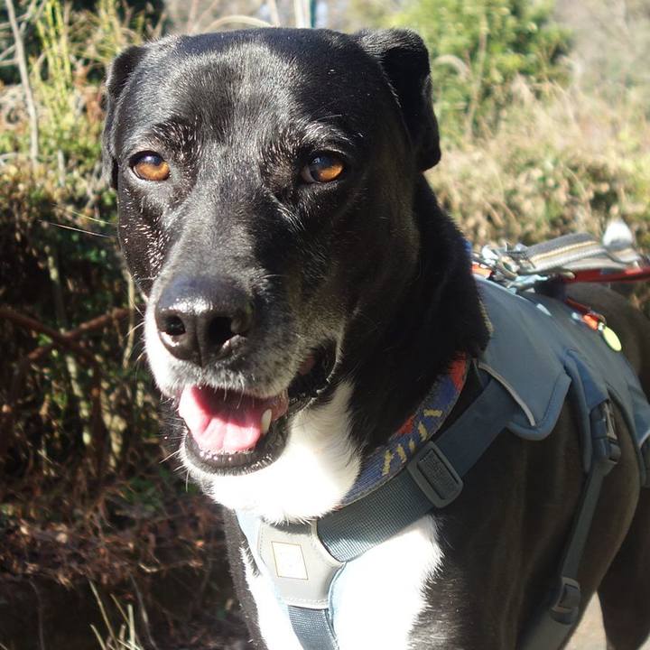 3ca3e4bd 685c 4731 b306 15577b250b8a 1710380706498