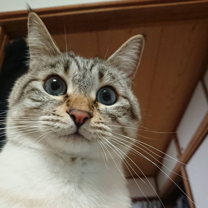 3ca3ed76 f72b 4240 b94a db4163a586dc 1550660481375