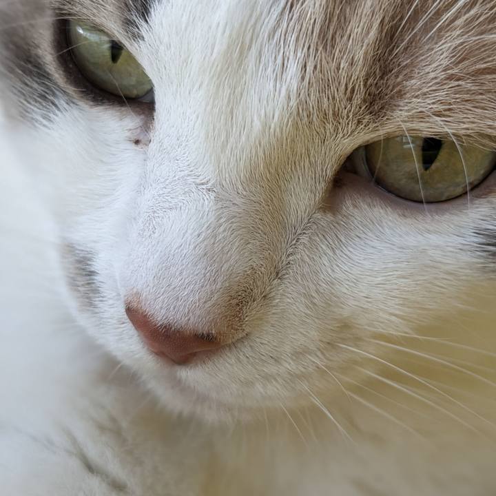 3ca3ef24 85c5 46ce bd80 96431f2ab55b 1686282947478