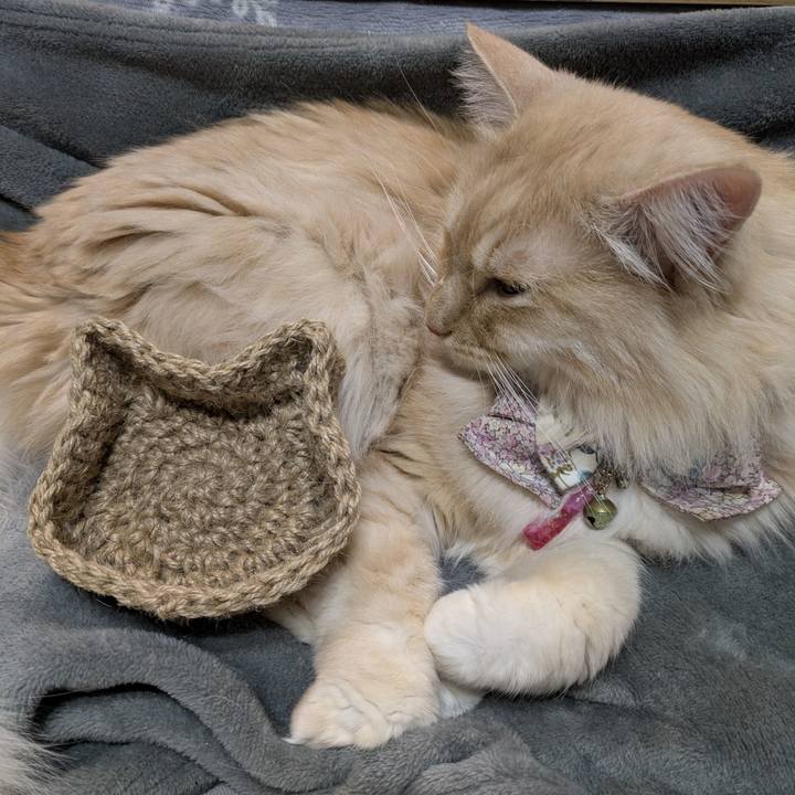 3ca3f4a8 883b 48bf aeab 8eb2b37478b0 1769699517196