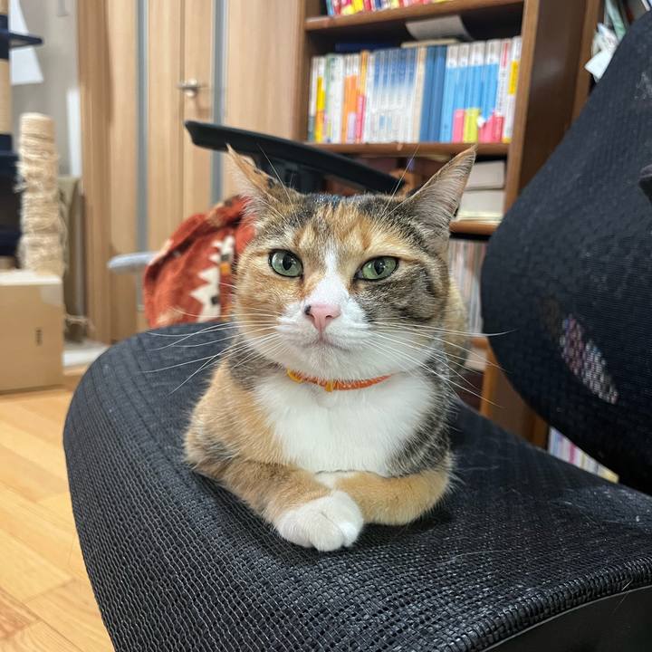 3ca3f607 d960 4b9e 9185 6b95b179f687 1681776203745