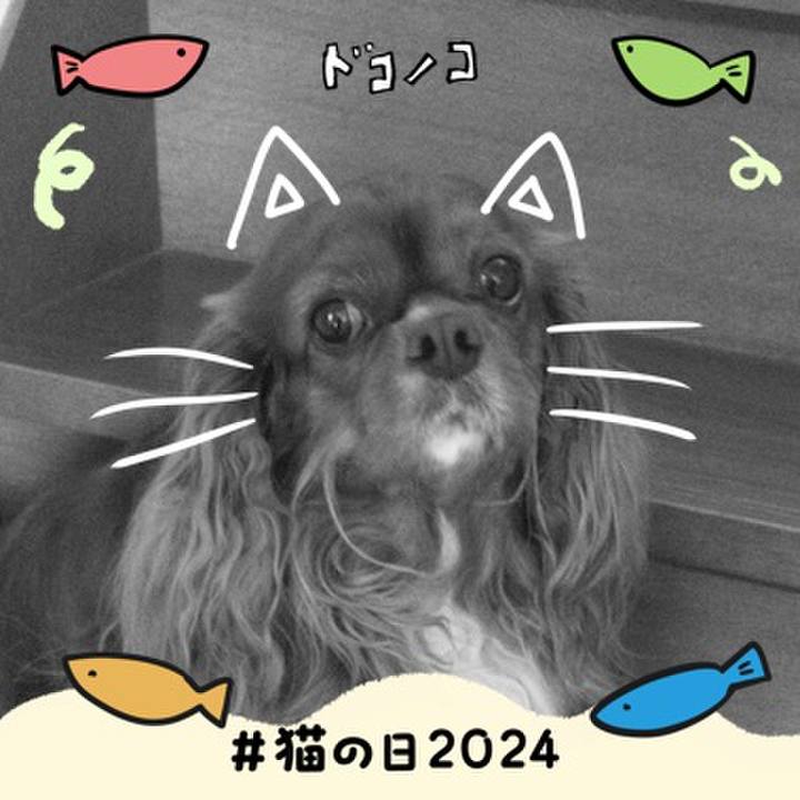 3ca434c8 871a 4263 a717 9c470abba4df 1708601497330