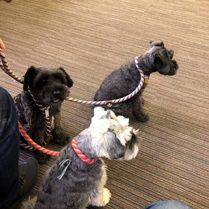 3ca438a9 8c12 475e 8dca b3ee1d477b35 1572072083391