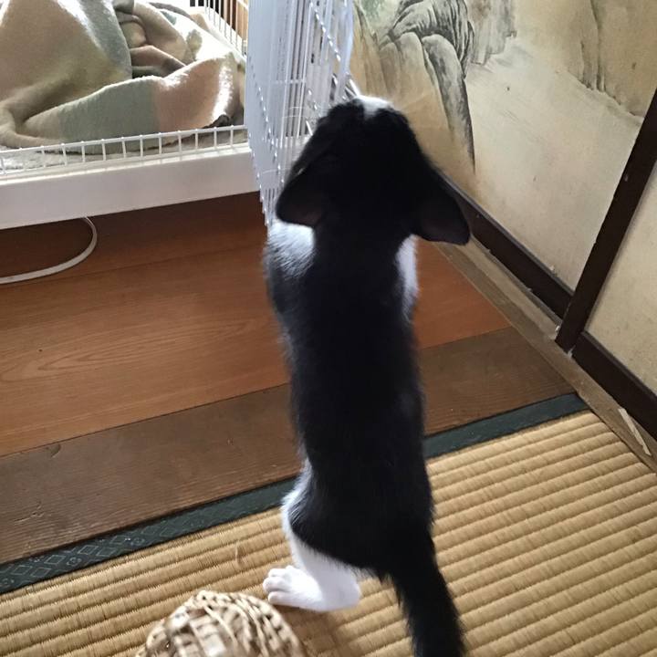 3ca47343 0a8b 4b5d a4fe 1147205acd84 1624589632879