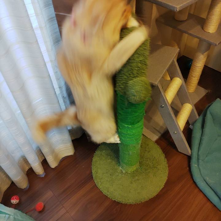 3ca48ae2 dbf9 49c0 9209 8ee9378a0834 1666647903581