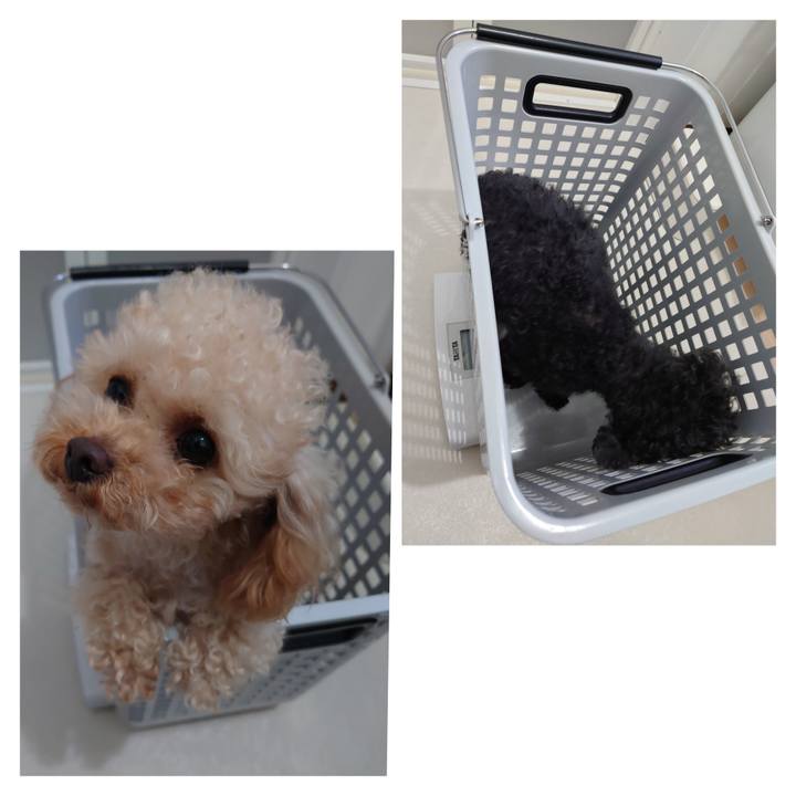 3ca48af1 4e1a 4062 b8fb 9a199523d522 1775081587453