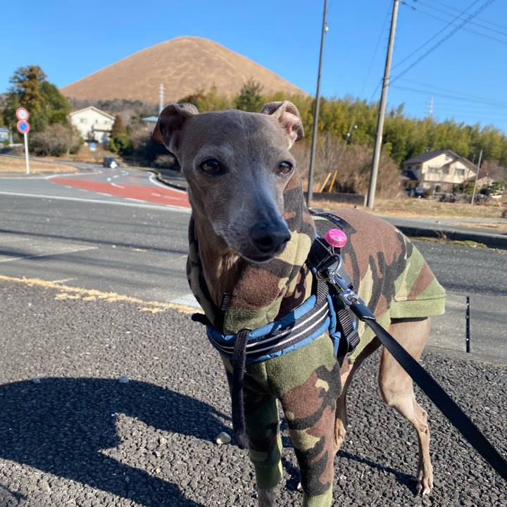 3ca4a141 5a54 43ad 992a 6ffe76d7bdb0 1768700317896