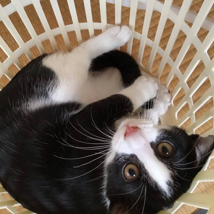 3ca4ab00 0d6e 4652 b4e3 cb40cf79ae34 1627534019362