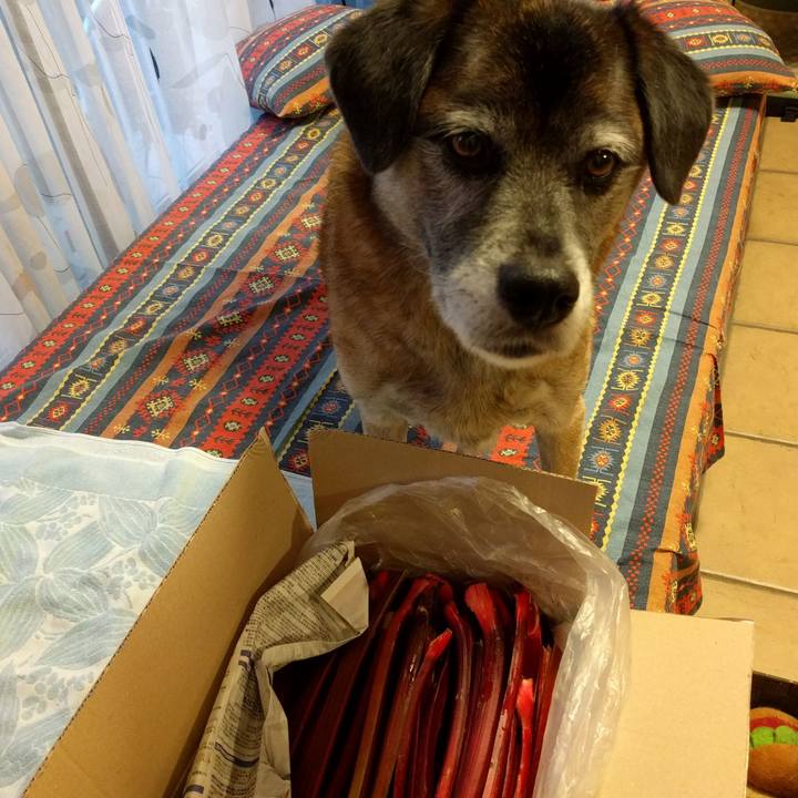 3ca4eada db16 4800 8d40 74df0d78747e 1692146699236