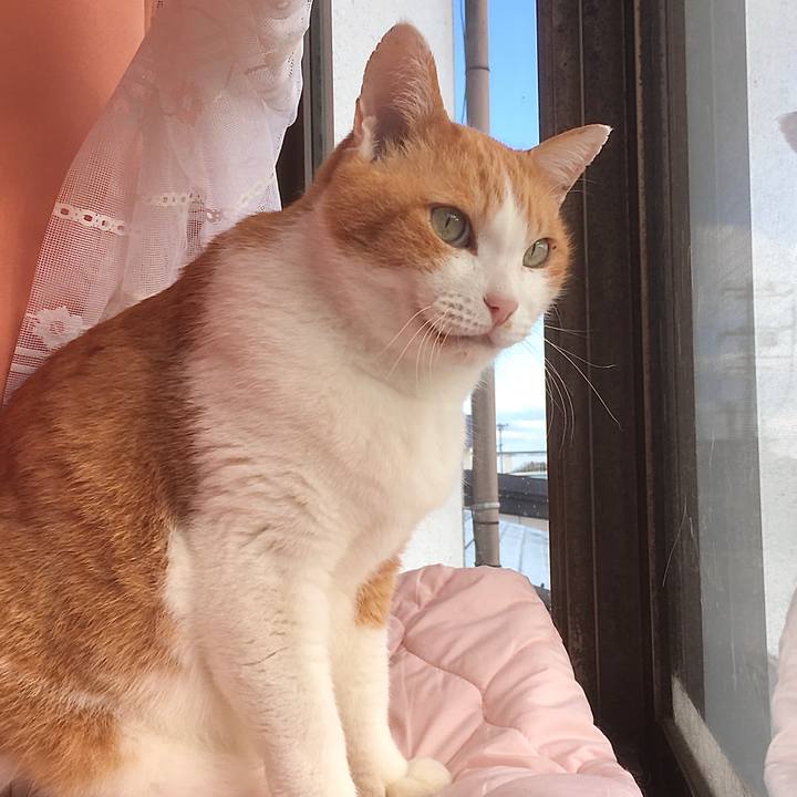 3ca4ecf2 36c6 47ee bd1a 4c90b48d0b3b 1580870549387