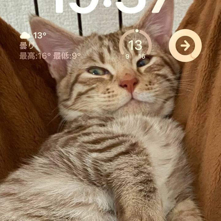 3ca4f8e7 4d3f 4df6 89a0 0851e112416d 1682332687377