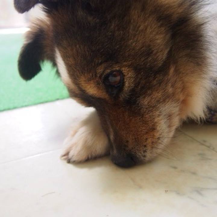 3ca57d49 2b2e 4d1d bcfc 1afdd37d80a2 1618669007081