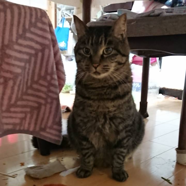 3ca5ac5c d36d 48af 9a47 1bc62ec38d30 1637962662489