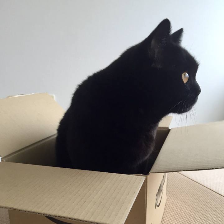 3ca5bdb7 bcdd 42f9 961a 0c64ed04b9ad 1563841328099