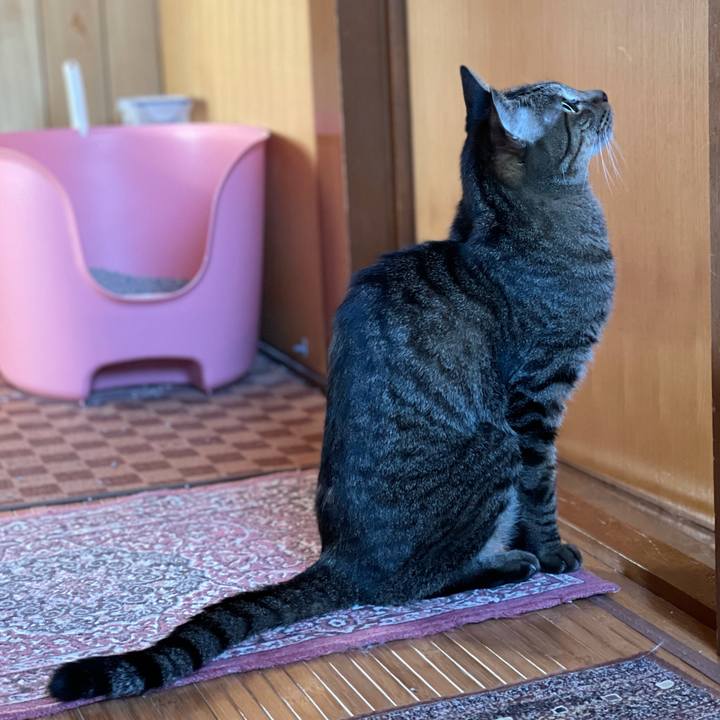 3ca61a47 8f55 43c3 81e2 113cf0ae5a1f 1605662098382