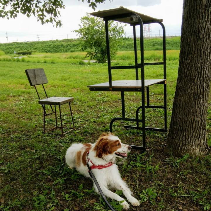 3ca62a1f 6592 4500 b5b8 135f49fcee76 1563277453446