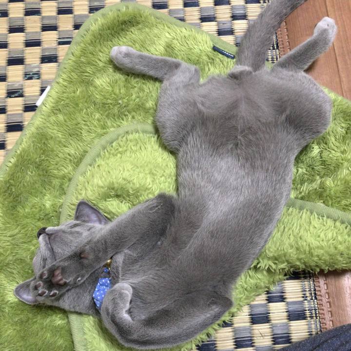 3ca65855 3d7e 401a 8be4 d255147fb993 1525991507018