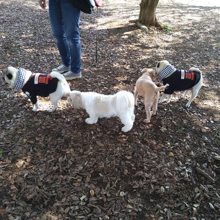 3ca658ef 239a 4078 bb83 7de14fd4cb3f 1633406702726