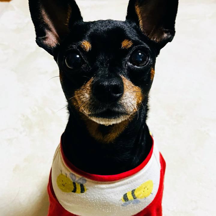 3ca65959 f75b 4fe6 b531 93df0f7459b6 1723760953930