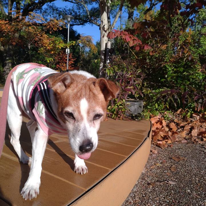 3ca6aba4 bc37 4b91 9fbf 0a8589fded74 1763282413340