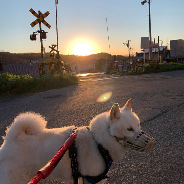 3ca6f30e cca8 4aef aa10 ee7bb92a06ac 1652040197224