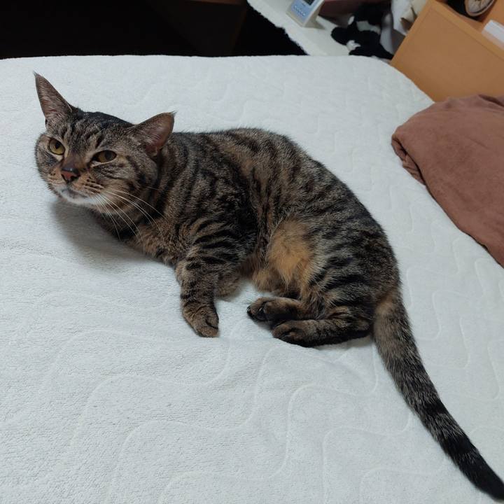 3ca71ba6 a8a6 4850 af88 704cd8e5186d 1649194907700