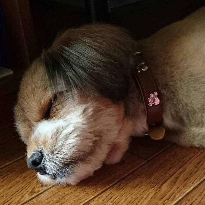 3ca720c7 59e8 47be a78c 181bbb0d16f7 1532912581289