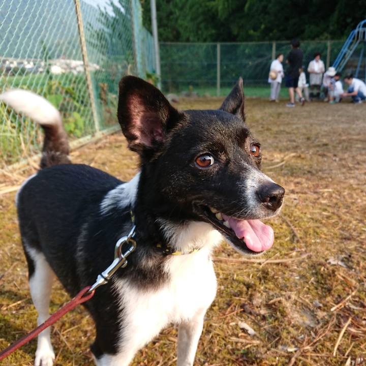 3ca72efe e755 4ac8 b875 05f3cca7544f 1532557902053