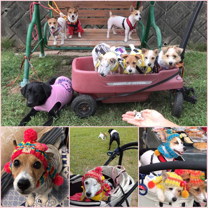 3ca72f35 0f2a 4e70 a1f1 6fc3d0b03627 1569236936955