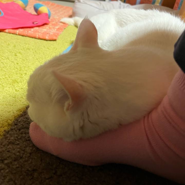 3ca757cb d8b9 4c72 b3dd 61d29e4656dc 1744029813067