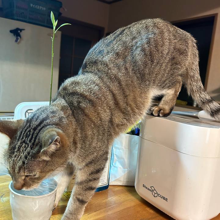 3ca7aeff a3d8 4efb bcfa 7aa76d87de92 1769720906312