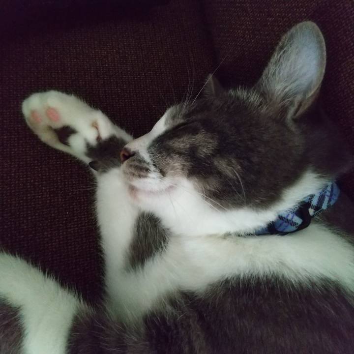 3ca7f45d fbab 4fcd 967c 7e64318c1bfa 1598325805549