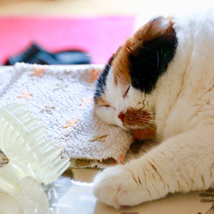 3ca80b4d 320e 4be8 b1a0 7e38cea8e587 1566189116990