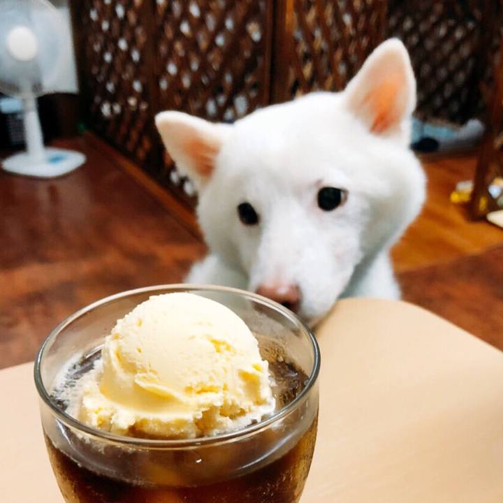 3ca82625 b0e6 41dd 8eb1 0dcff65d2f36 1534517572518