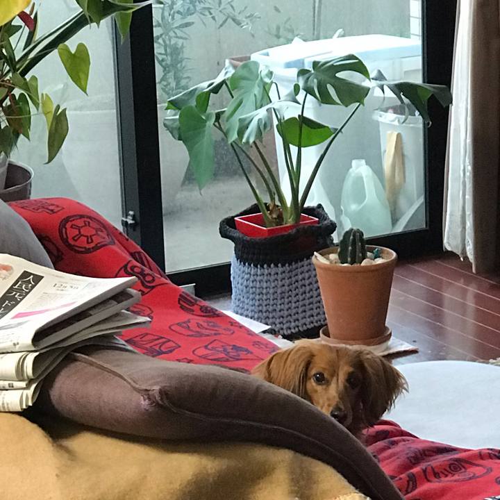 3ca82c8c 2d31 4e5a b318 06941ba8bf32 1544100907485