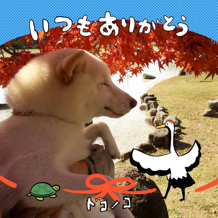 3ca844f5 afa8 42d9 b6e1 83cd34a52cf3 1727392602098