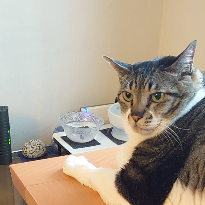 3ca8ab66 4070 497a ae7e 34c9c182c333 1616384452641