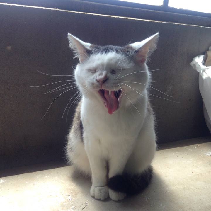 3ca8b150 b160 417d a47e 6041df095837 1525047692744