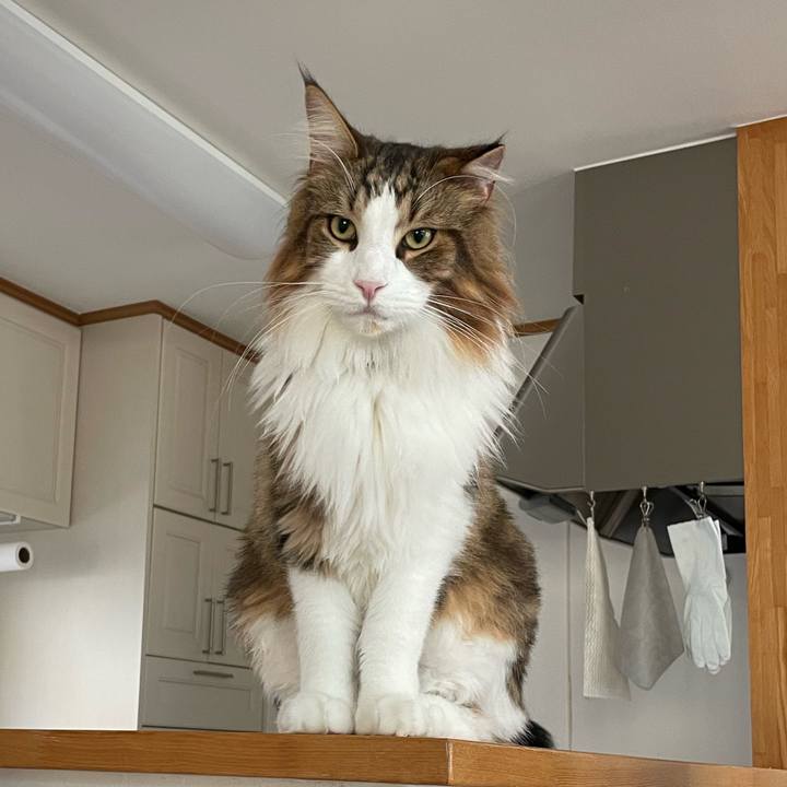 3ca8b20a 6d40 476c 955a af8414776627 1665956642478