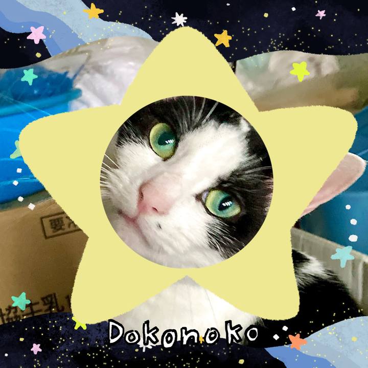 3ca8be89 907a 4f99 8b5f 448f5f9db303 1720943567313